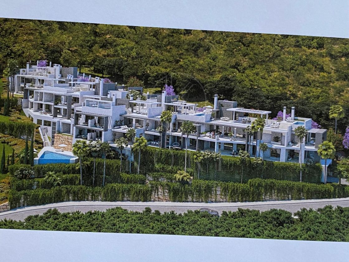 New Development Plot