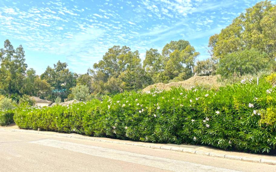 Plot for sale in a sought after location of Nueva Andalucia