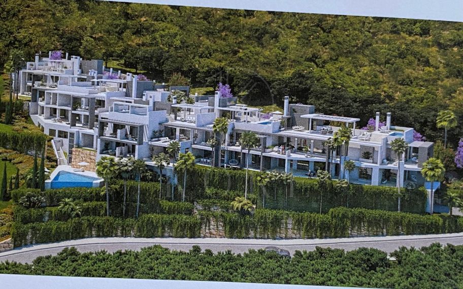 New Development Plot