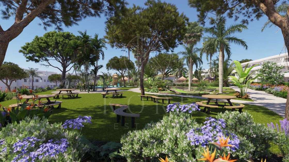 Development in Cadiz