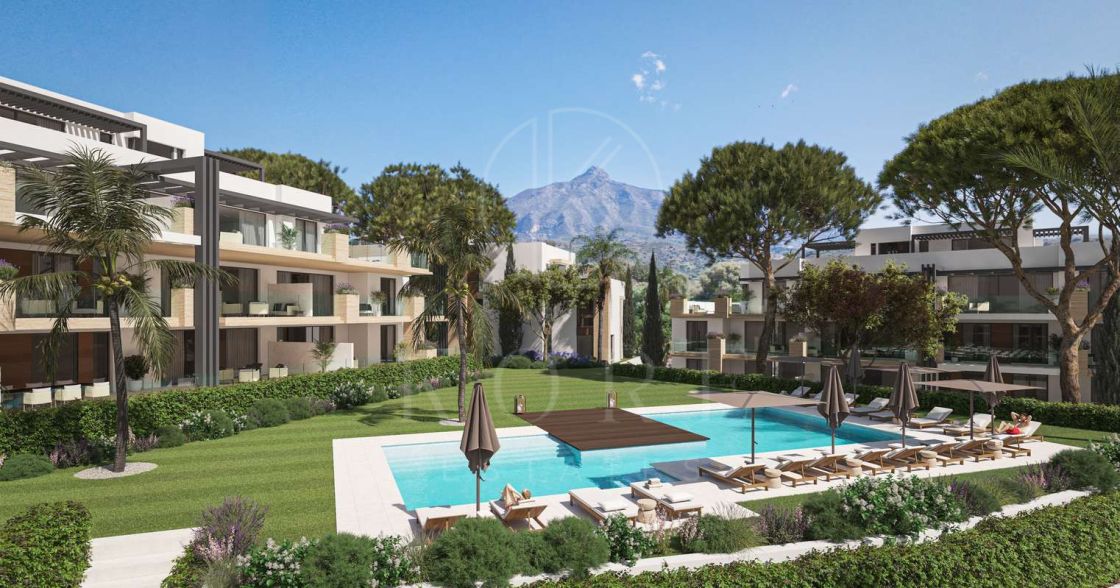 Development in Nueva Andalucia, Marbella